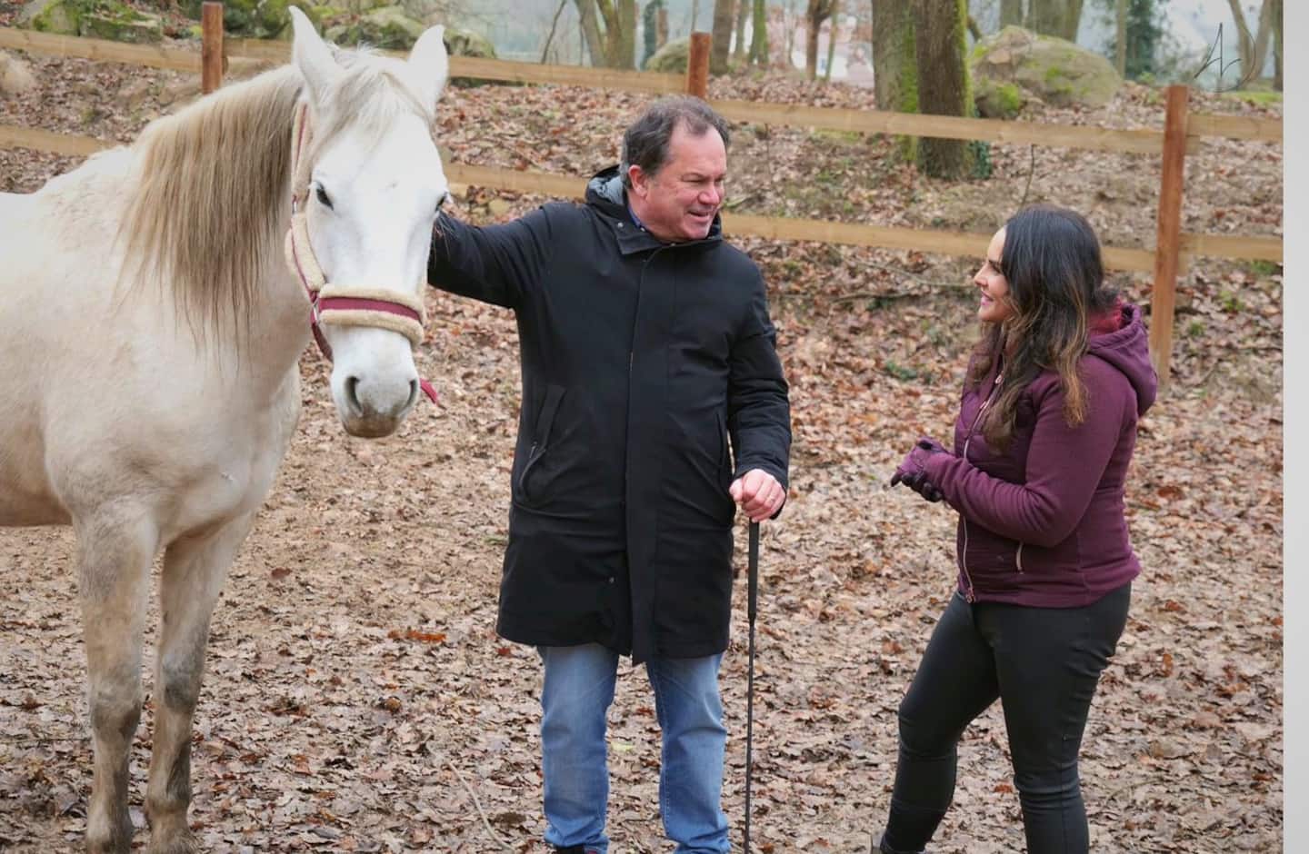 Séance d'équicoaching avec un cheval blanc dans le pré du ranch