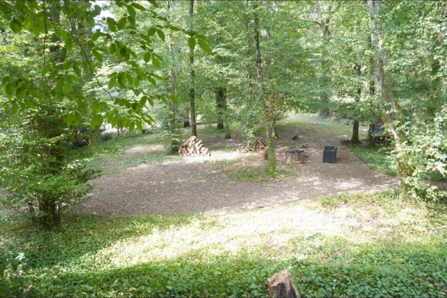 La clairière du domaine et son sous-bois